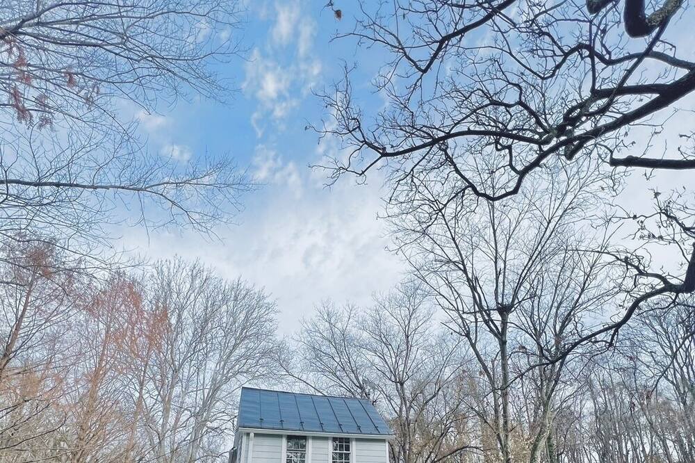 Photo of Outdoor in Hamilton