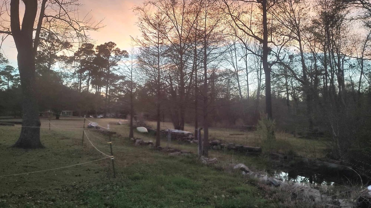 Photo of Outdoor in Burgaw