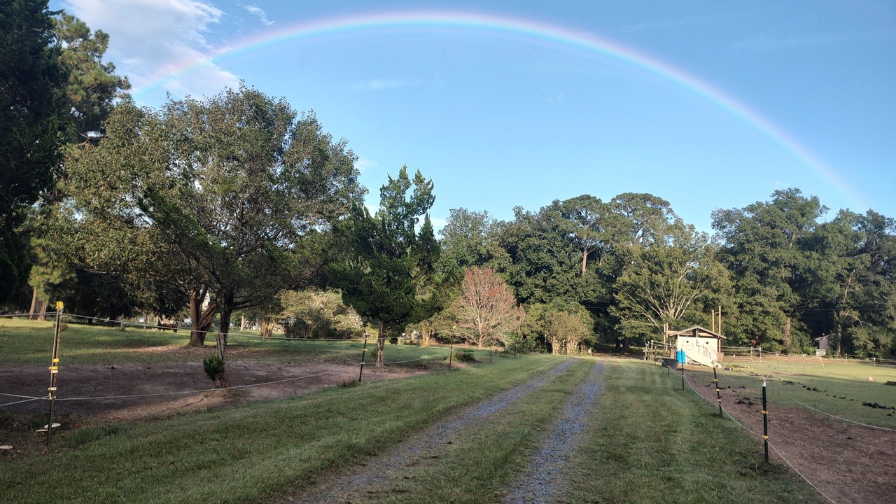 Photo of Outdoor in Burgaw