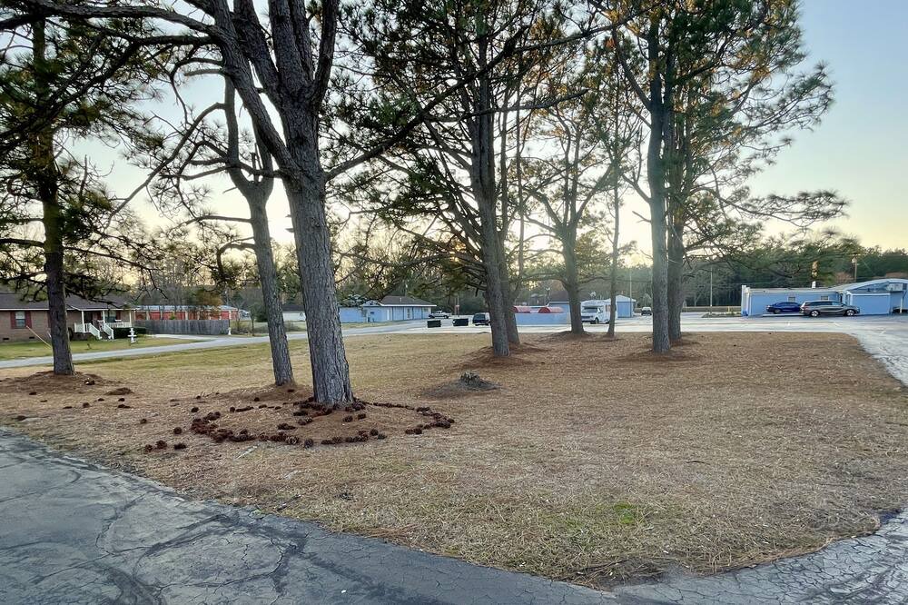 Photo of Outdoor in Mullins