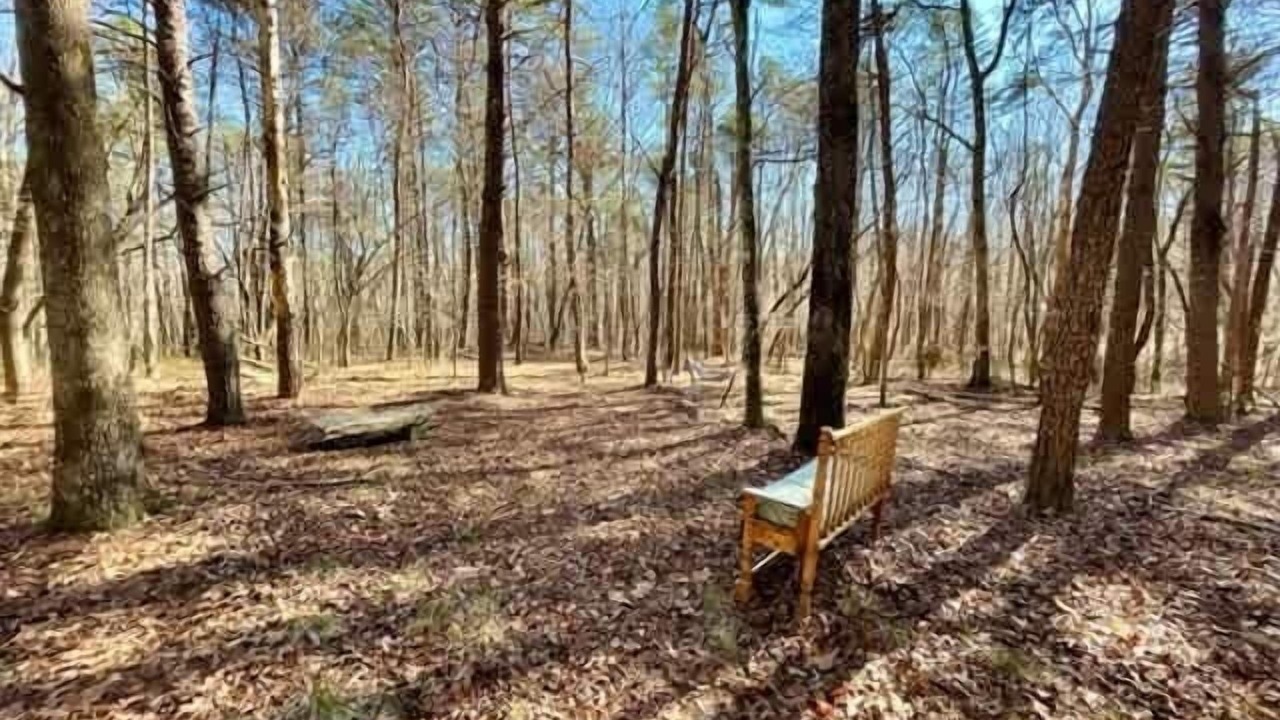 Photo of Outdoor in Mentone