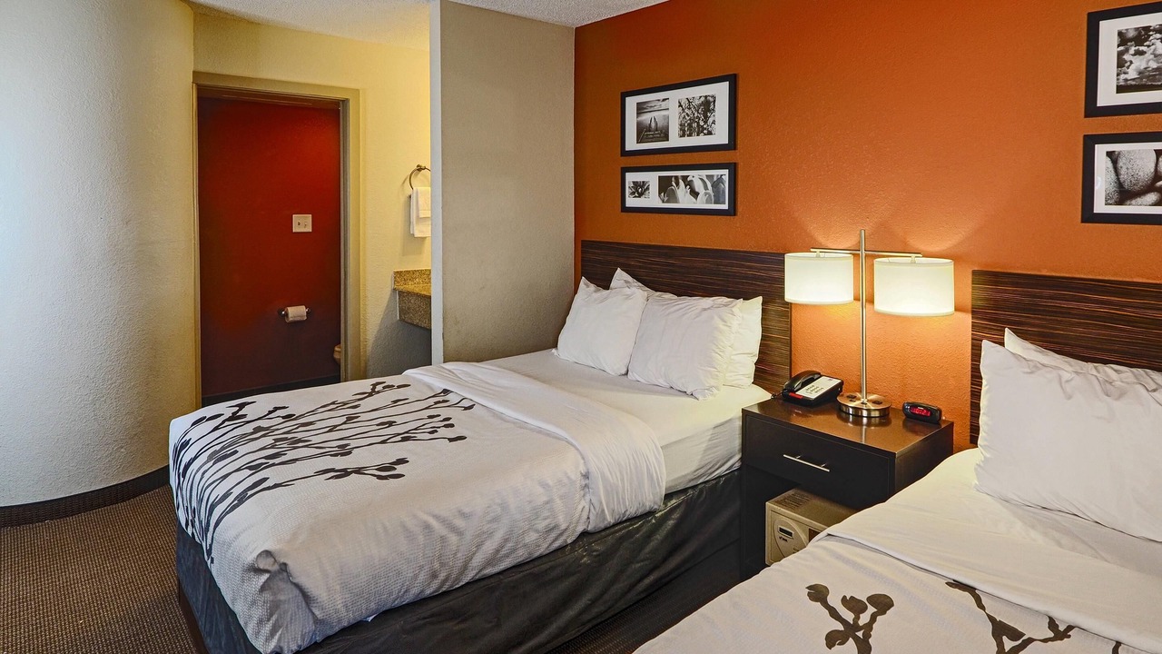 Photo of Bedroom in Pine Forest