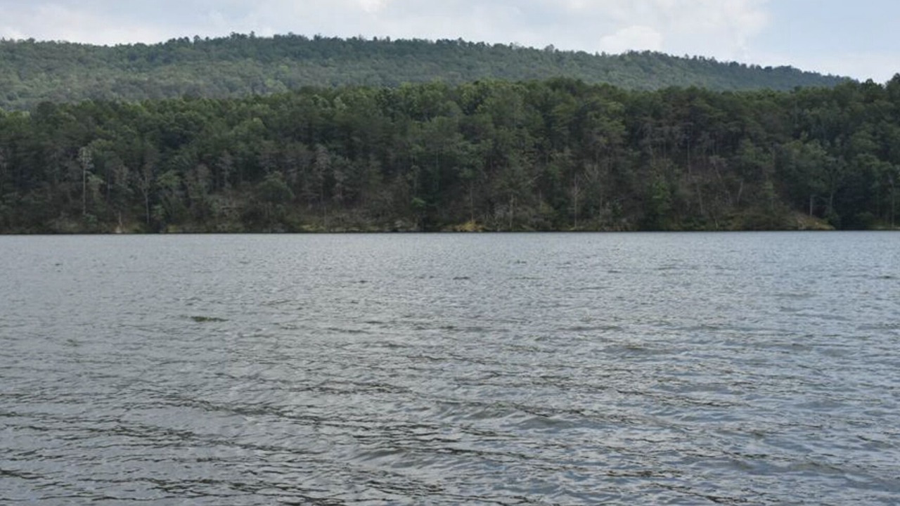 Photo of Others in Cartersville