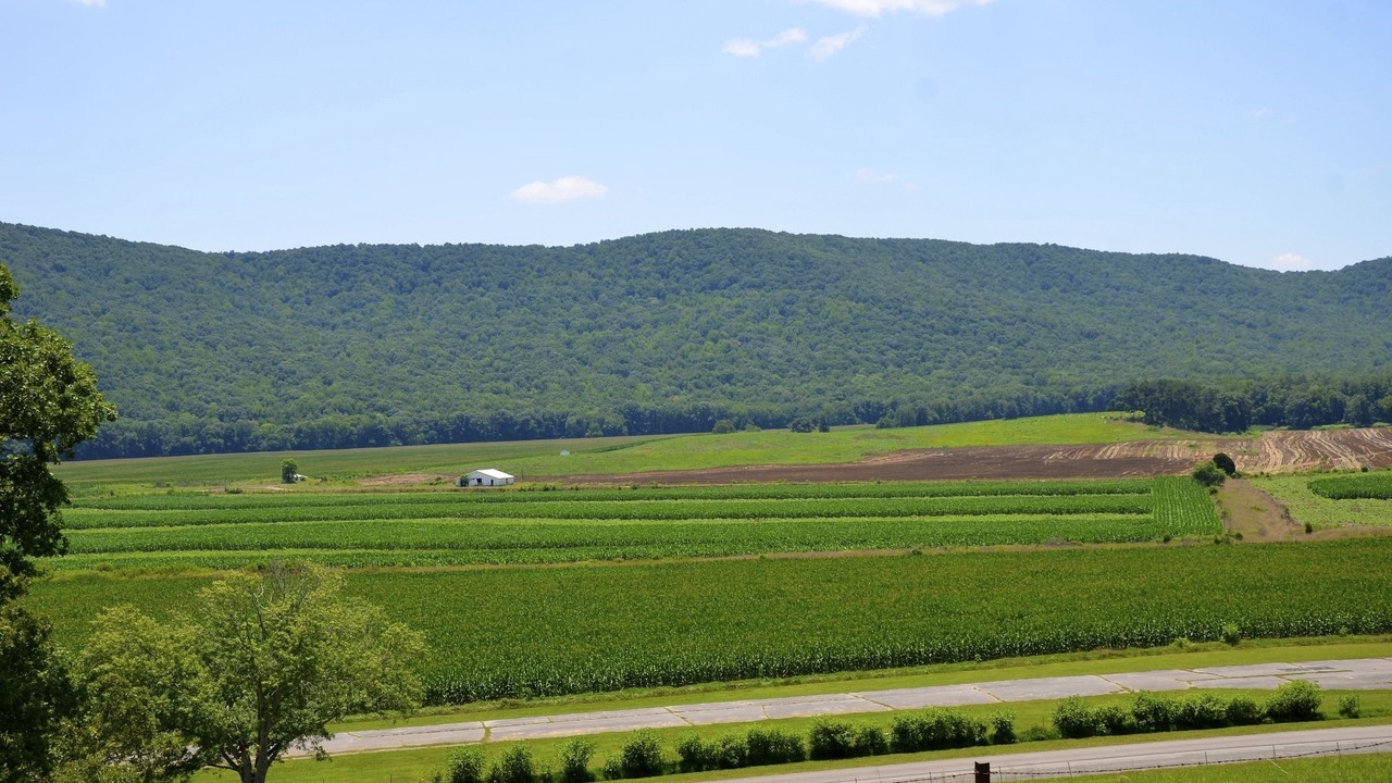 Photo of Outdoor in Chickamauga