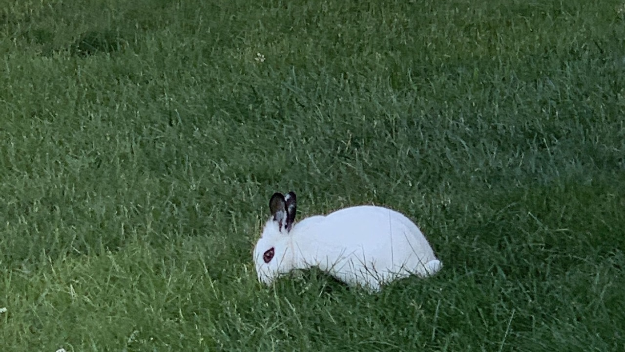 Photo of Outdoor in Egg Harbor Township