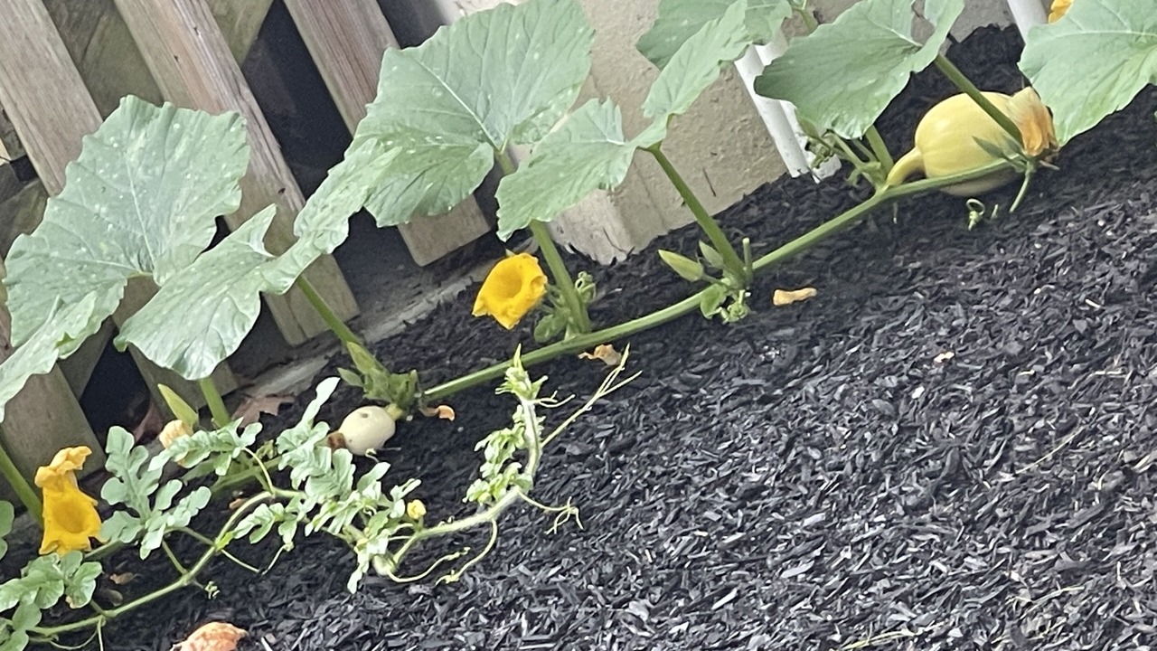 Photo of Outdoor in Egg Harbor Township