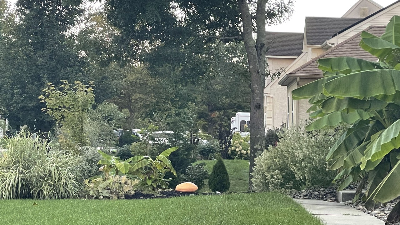 Photo of Outdoor in Egg Harbor Township