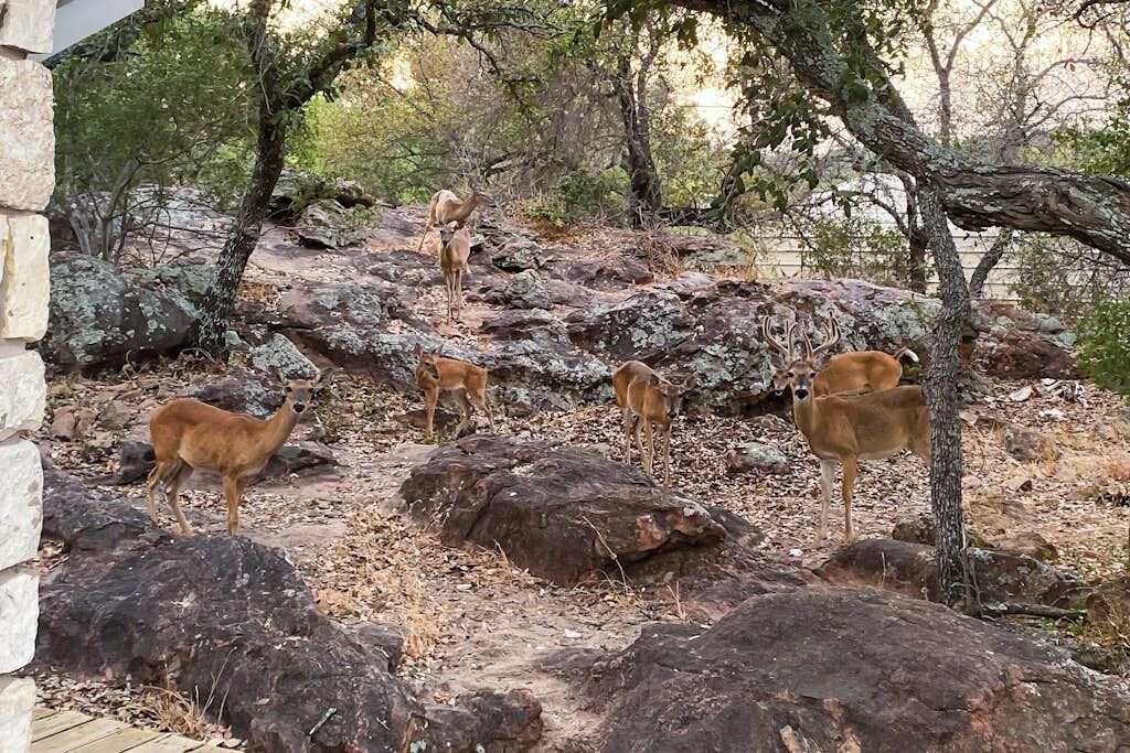 Photo of Outdoor in Buchanan Dam