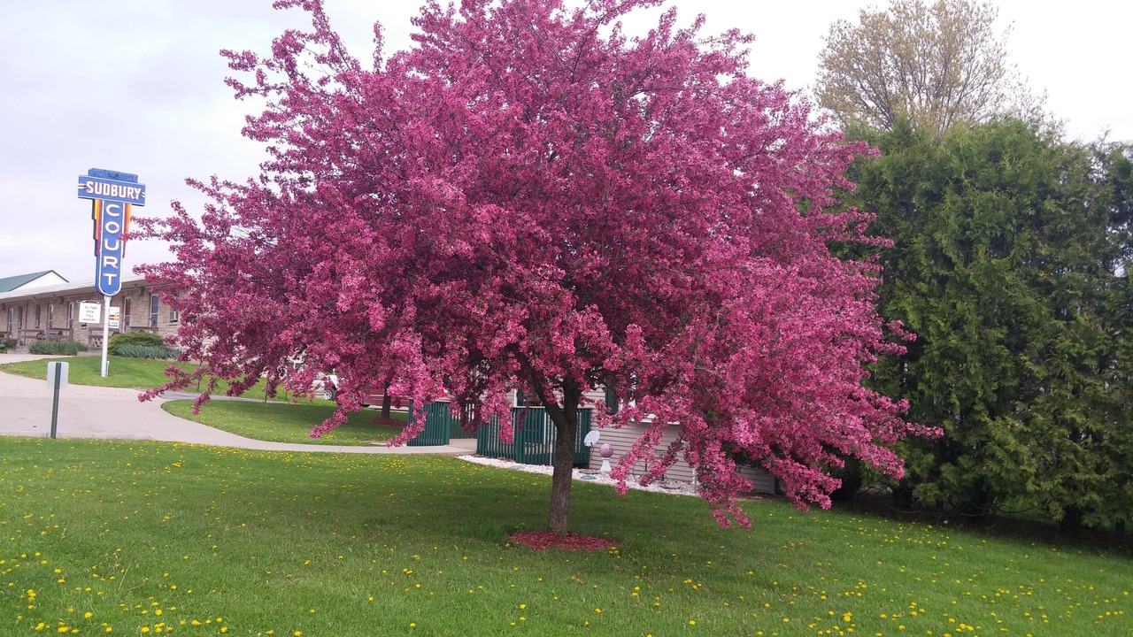 Photo of Outdoor in Marengo