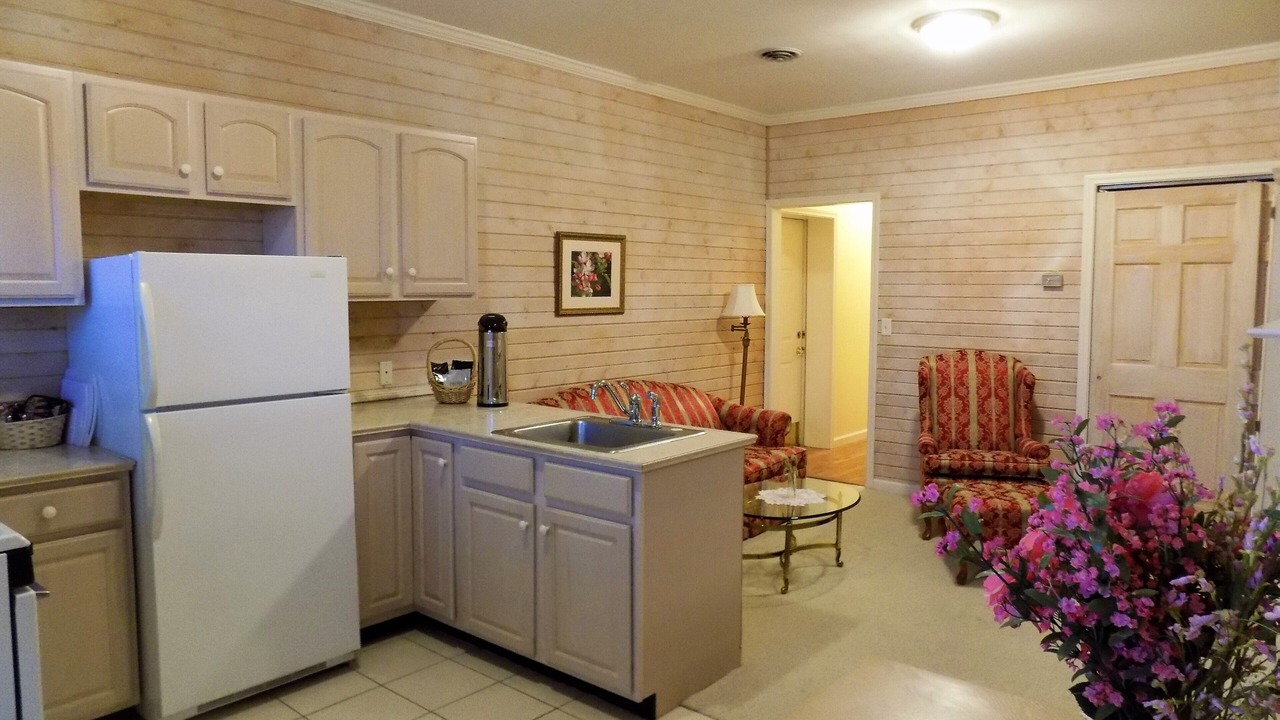 Photo of Kitchen in Maharishi Vedic City