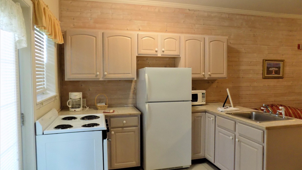 Photo of Kitchen in Maharishi Vedic City