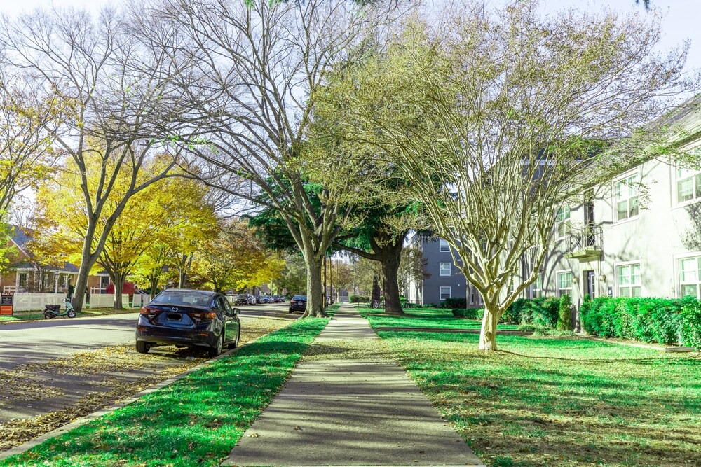 Photo of Outdoor in Museum District