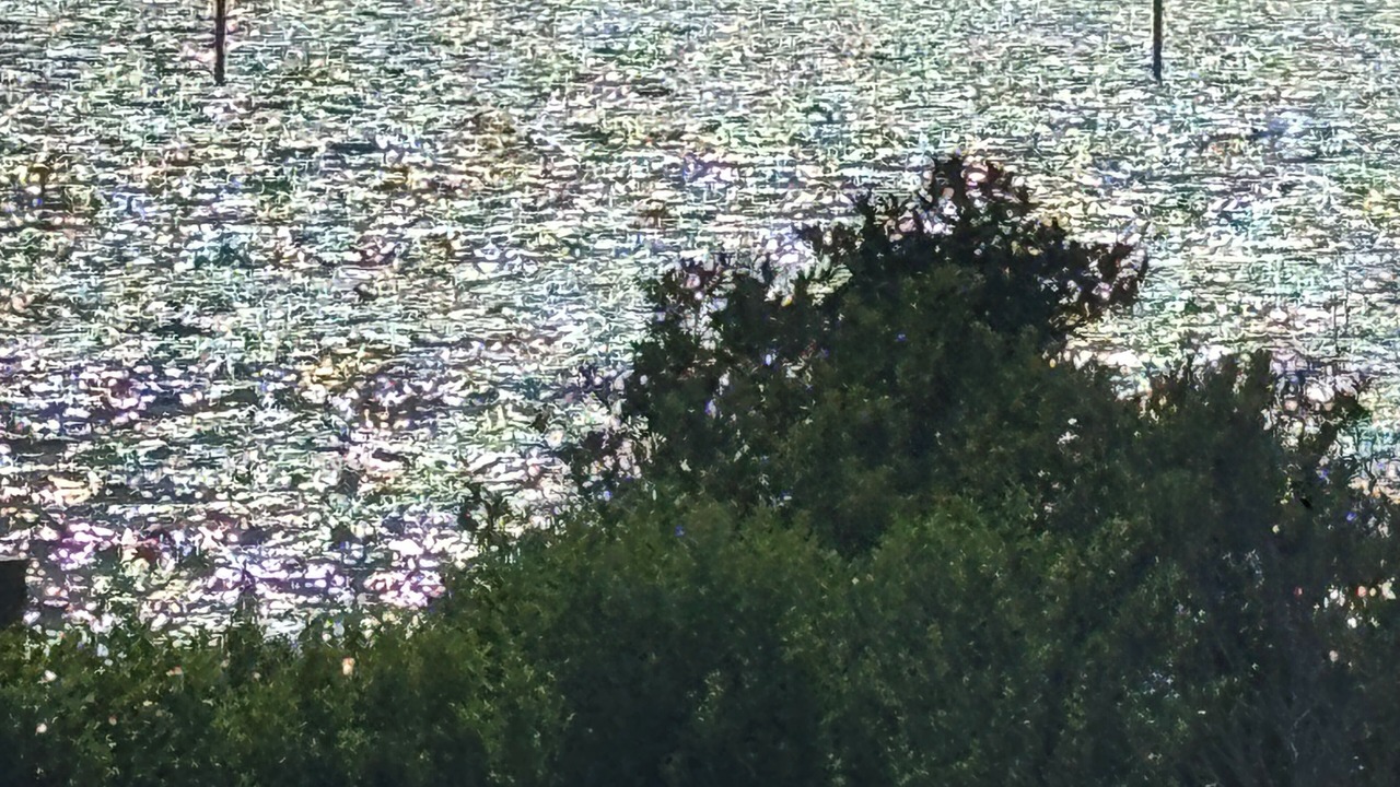 Photo of Others in Fenwick Island