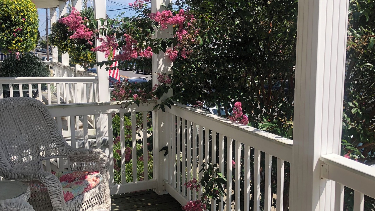 Photo of Outdoor in South End