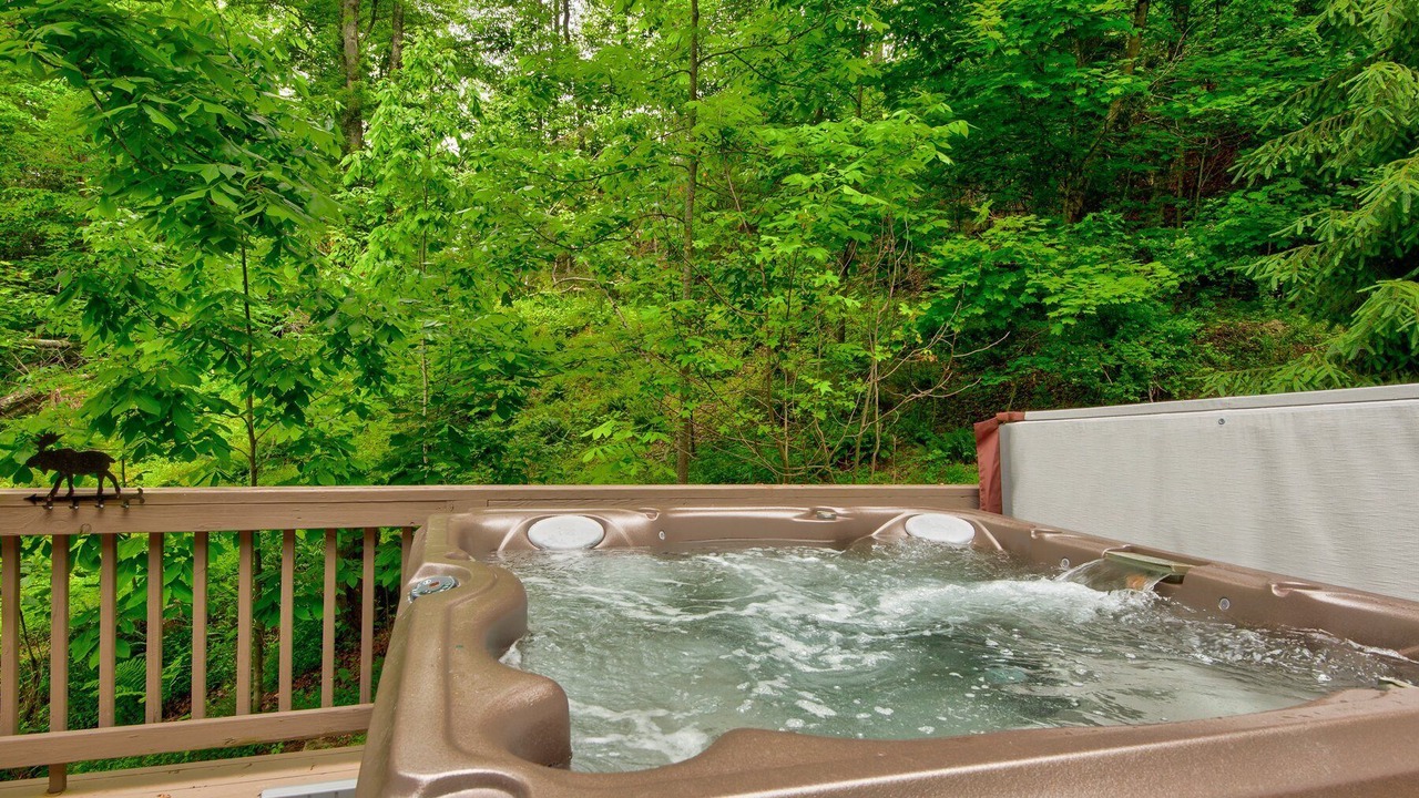 Photo of Outdoor in Vilas