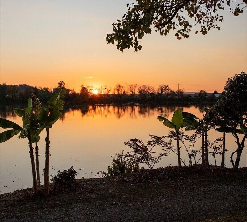 Photo of Outdoor in Gadsden