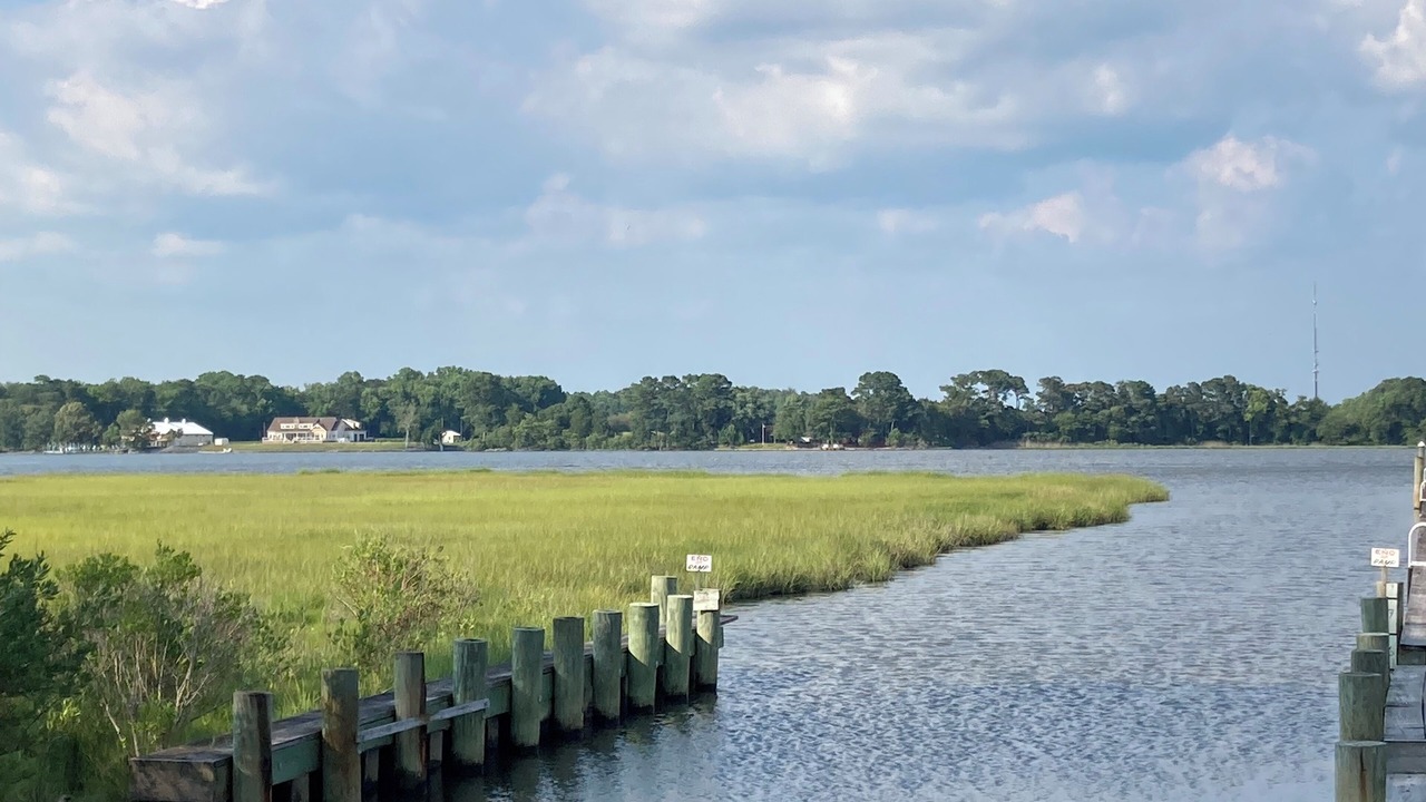 Photo of Others in Ocean Pines