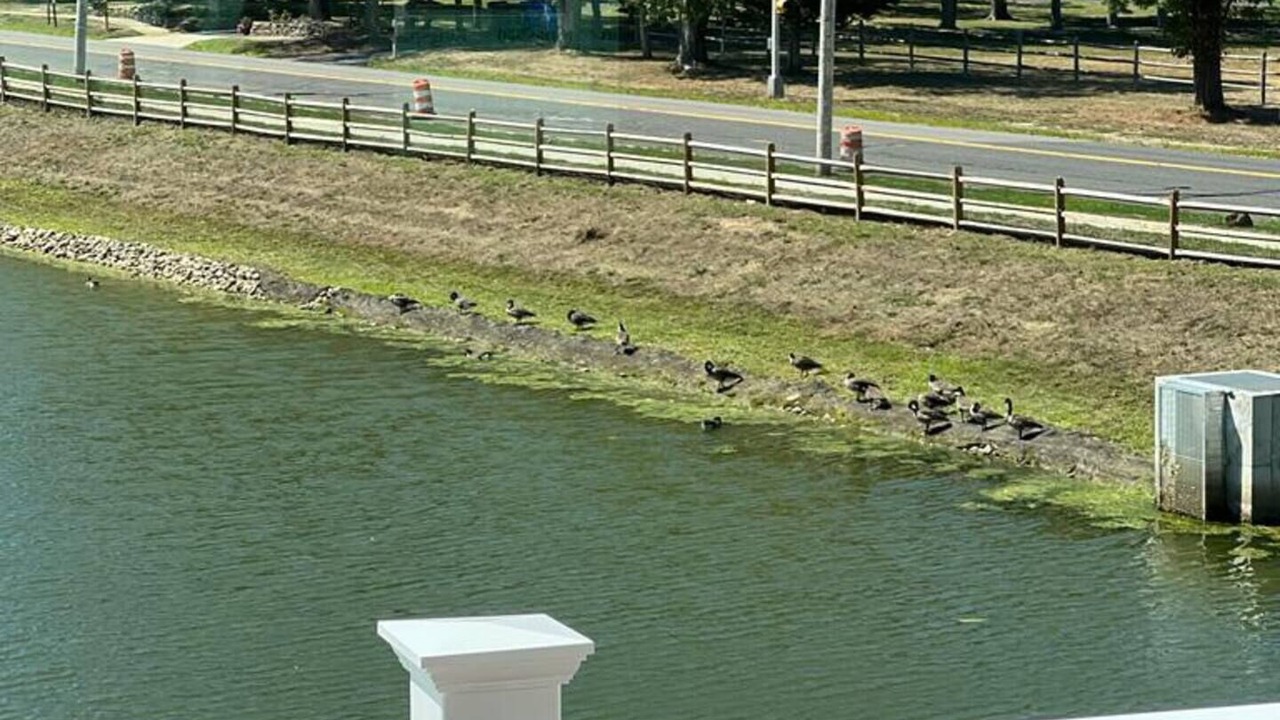 Photo of Outdoor in Tinton Falls