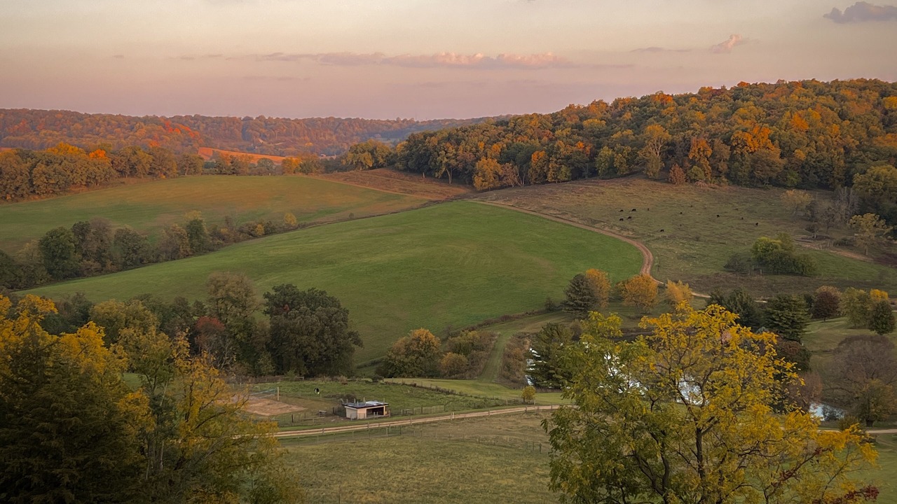 Photo of Outdoor in Elizabeth