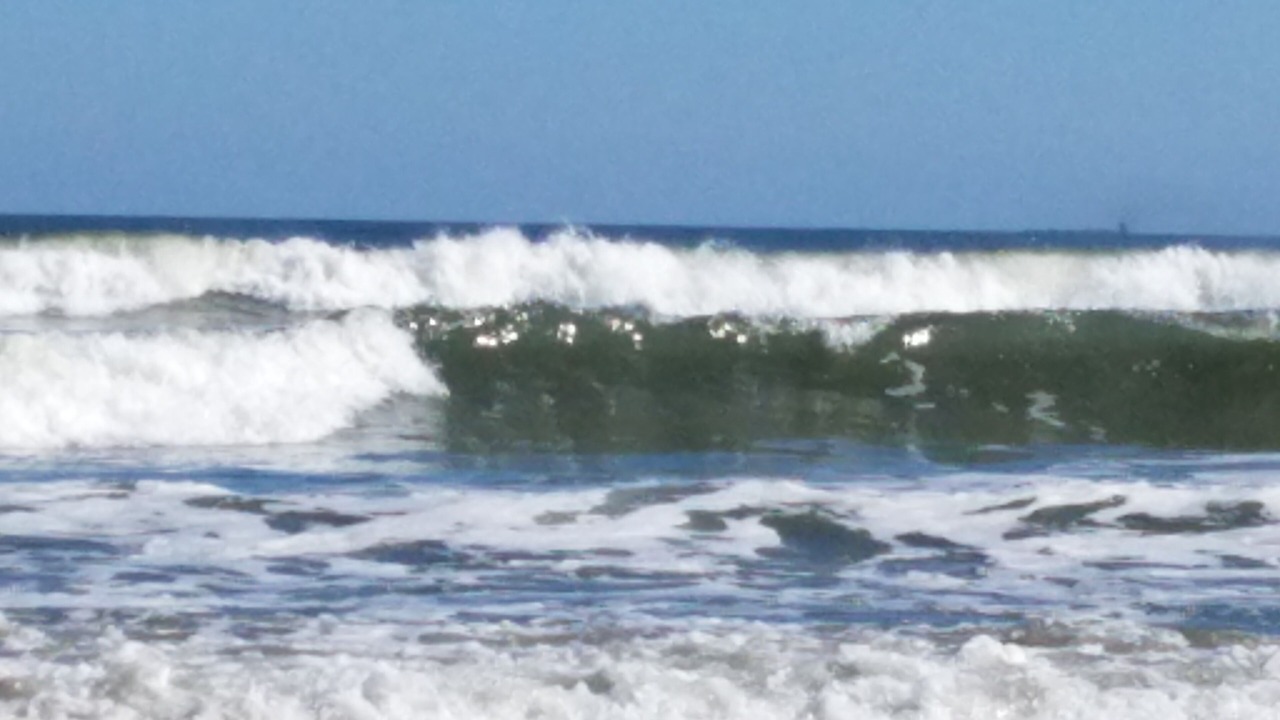 Photo of Others in Wildwood
