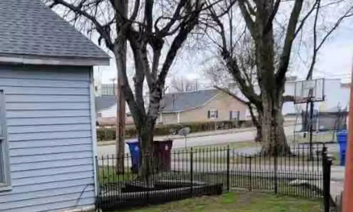 Photo of Outdoor in Alcoa