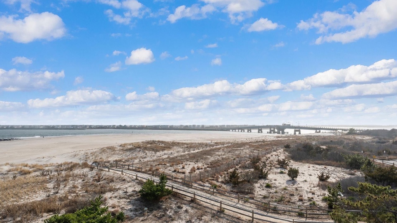 Photo of Others in Townsend's Inlet