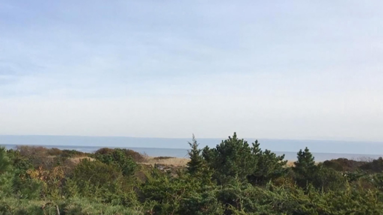 Photo of Others in Barnegat Light