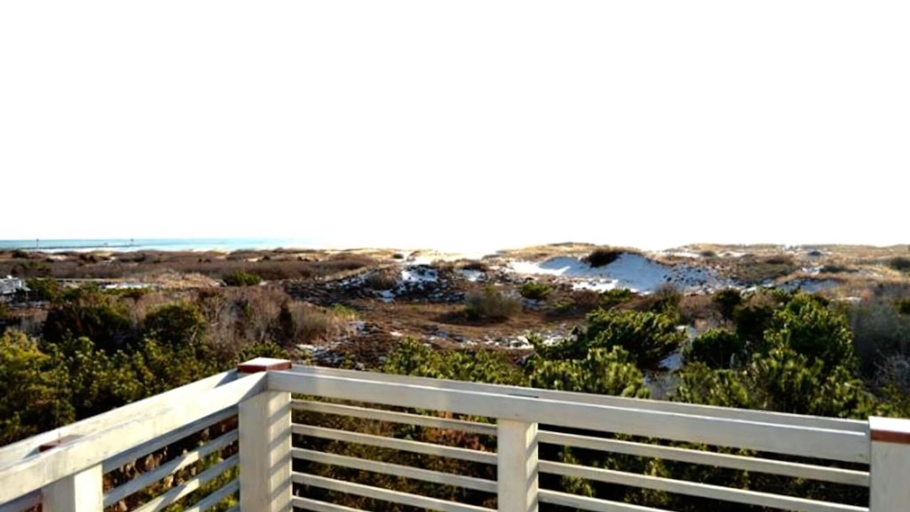 Photo of Others in Barnegat Light