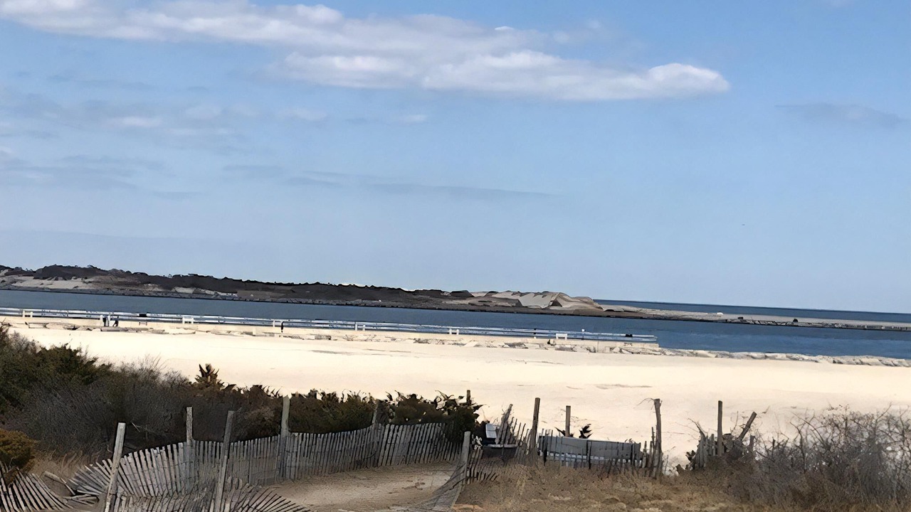 Photo of Others in Barnegat Light