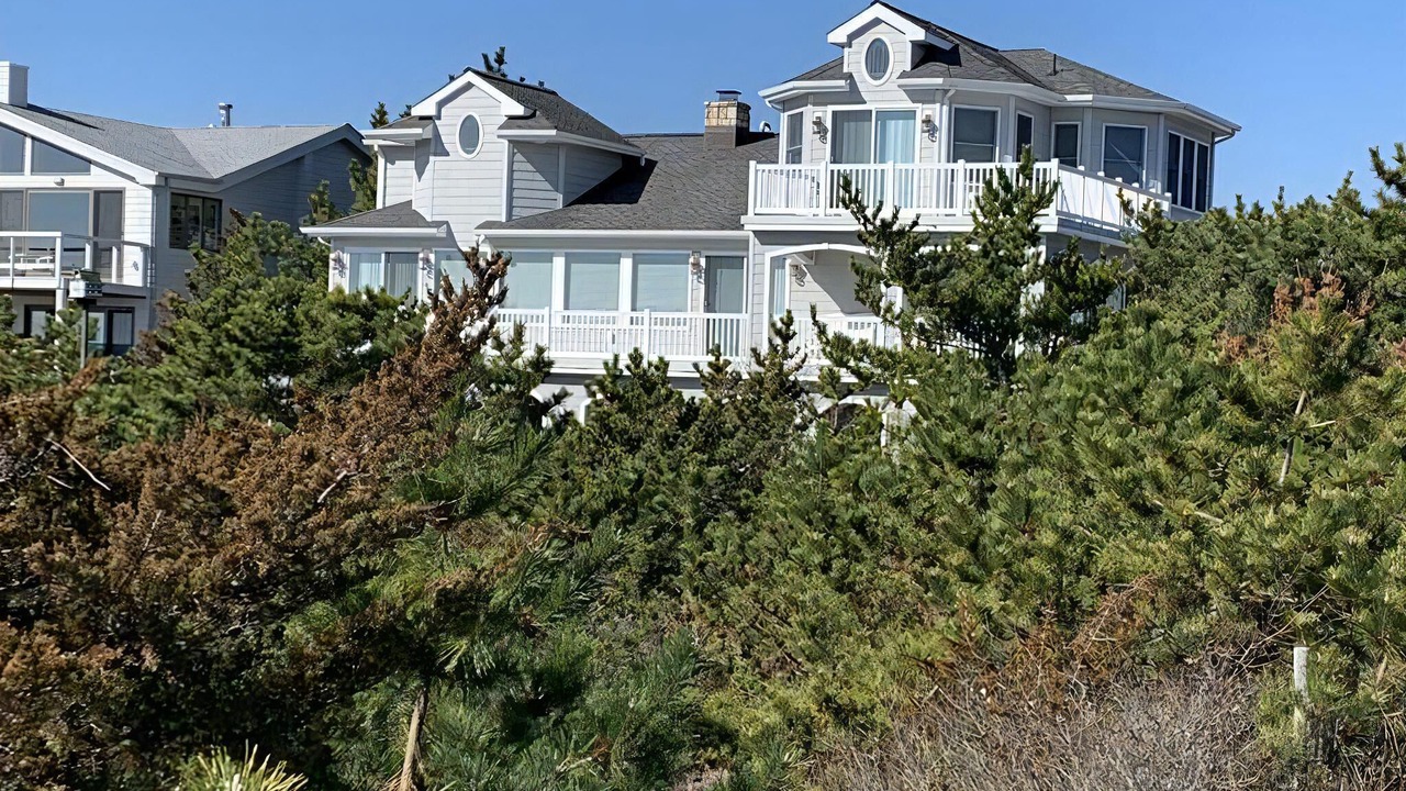 Photo of Others in Barnegat Light