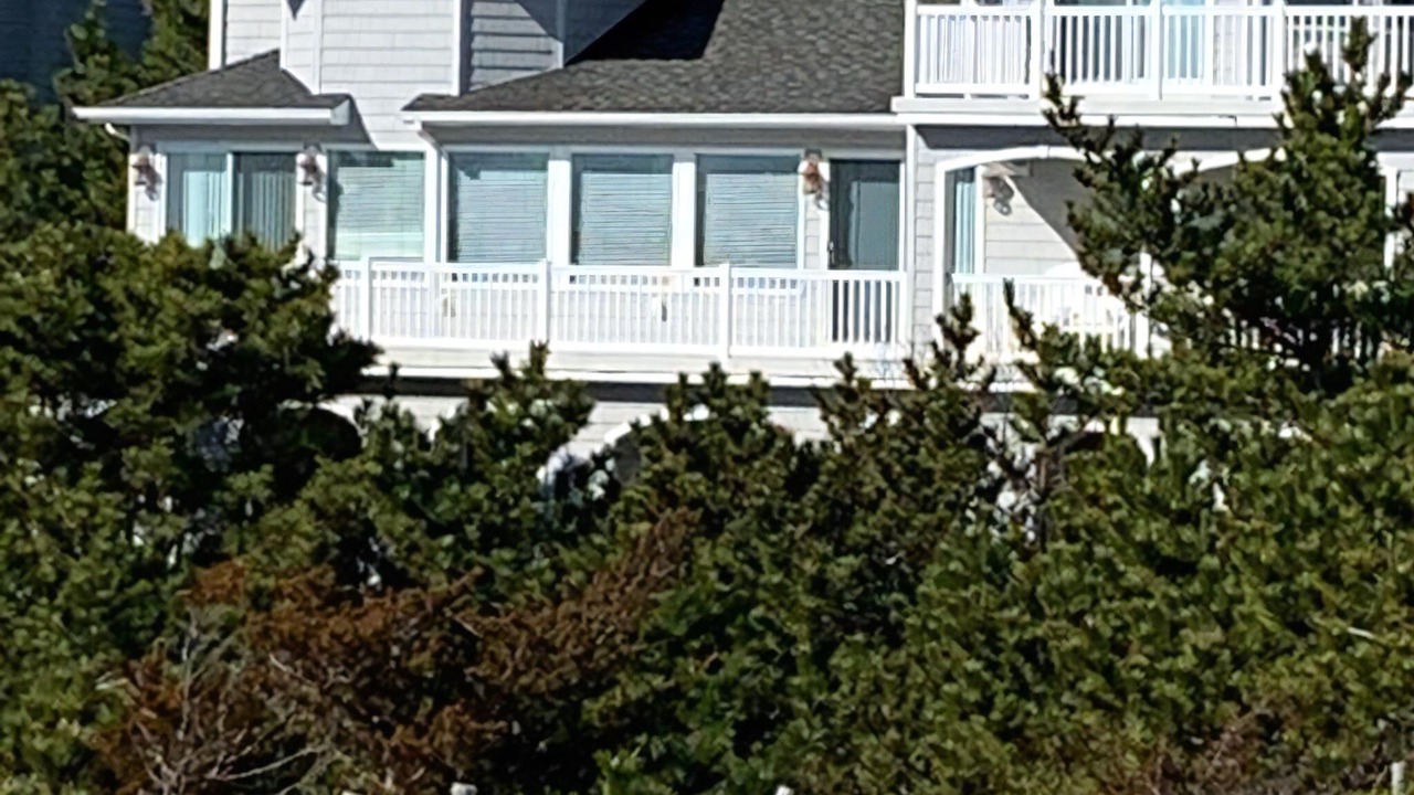 Photo of Others in Barnegat Light