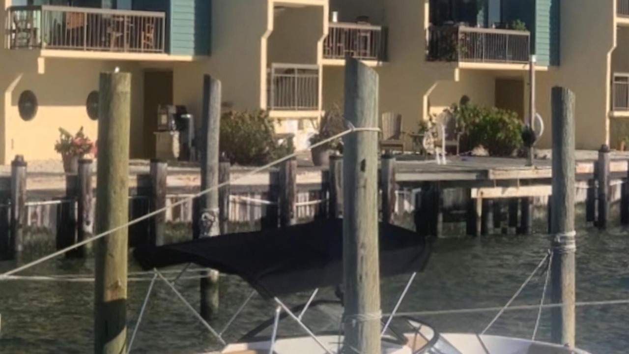 Photo of Others in Beach Haven