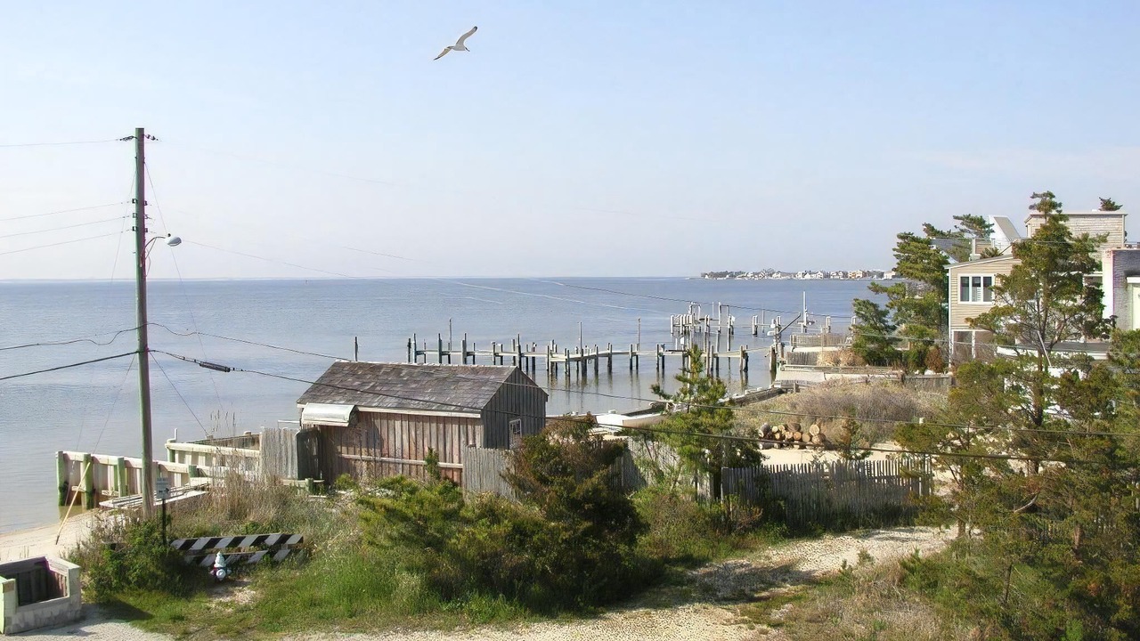 Photo of Others in Harvey Cedars