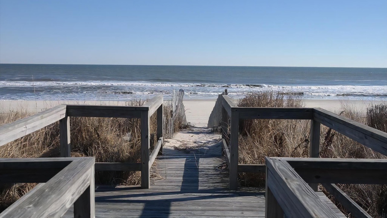 Photo of Others in Surf City