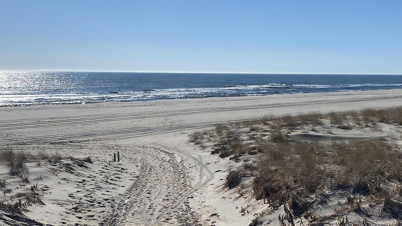 Photo of Outdoor in North Beach Haven