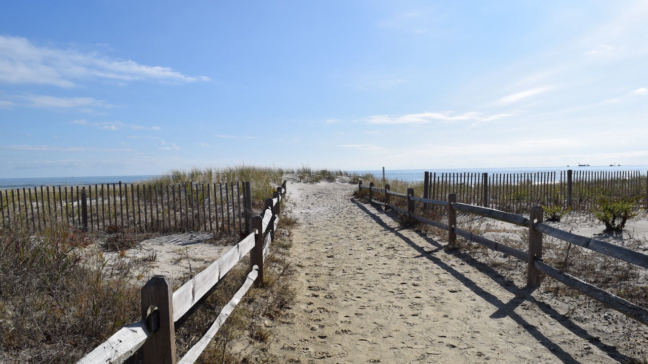 Photo of Others in Townsend's Inlet
