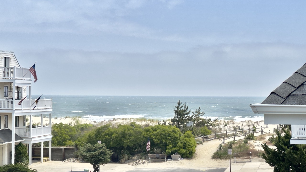 Photo of Others in Townsend's Inlet