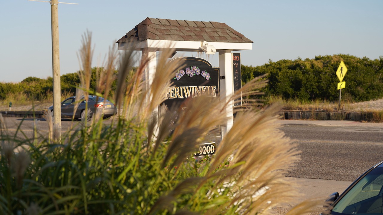 Photo of Others in Cape May