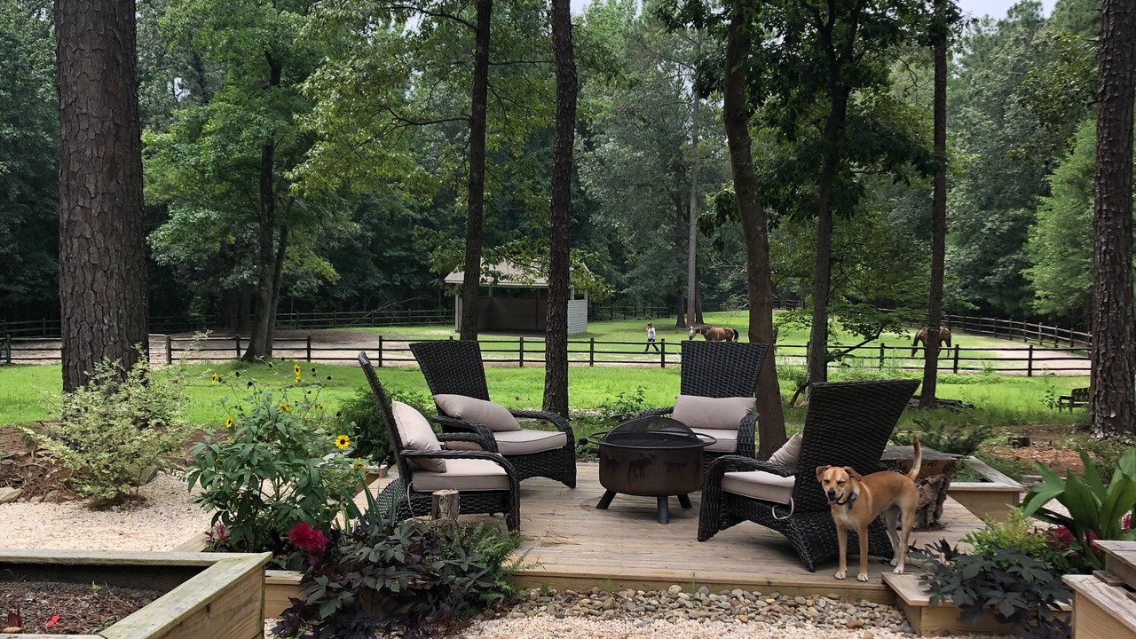 Photo of Outdoor in Vass