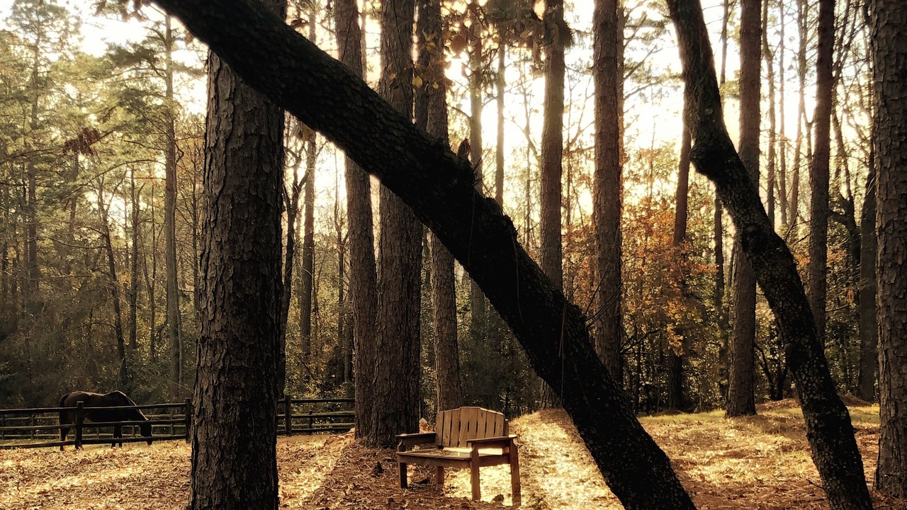 Photo of Outdoor in Vass