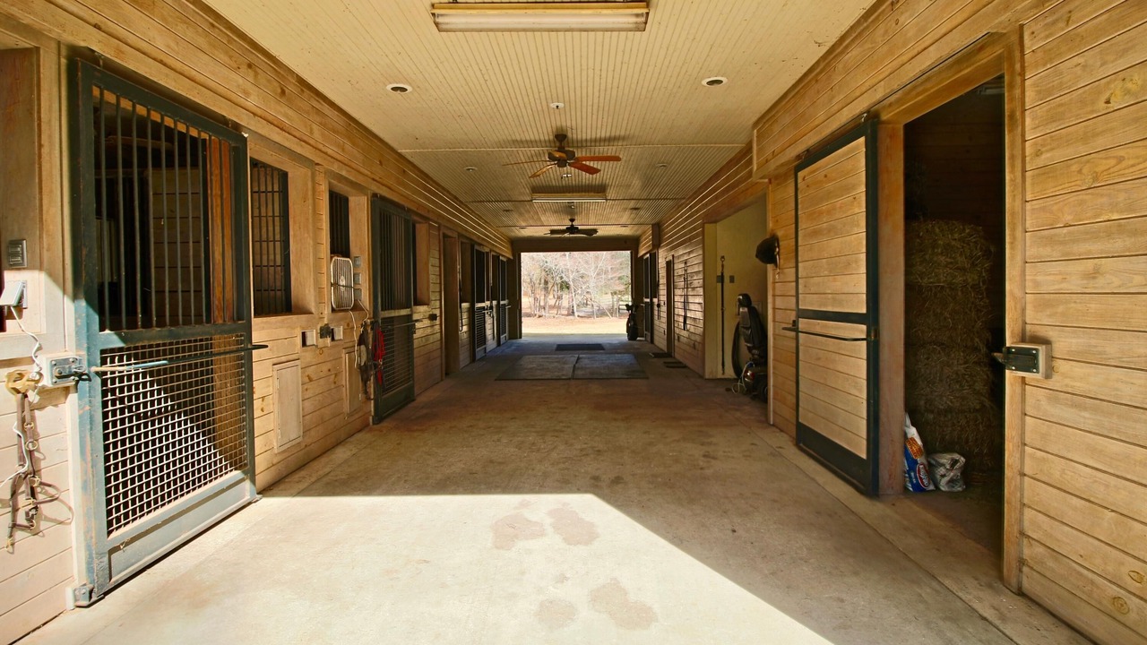 Photo of Outdoor in Vass