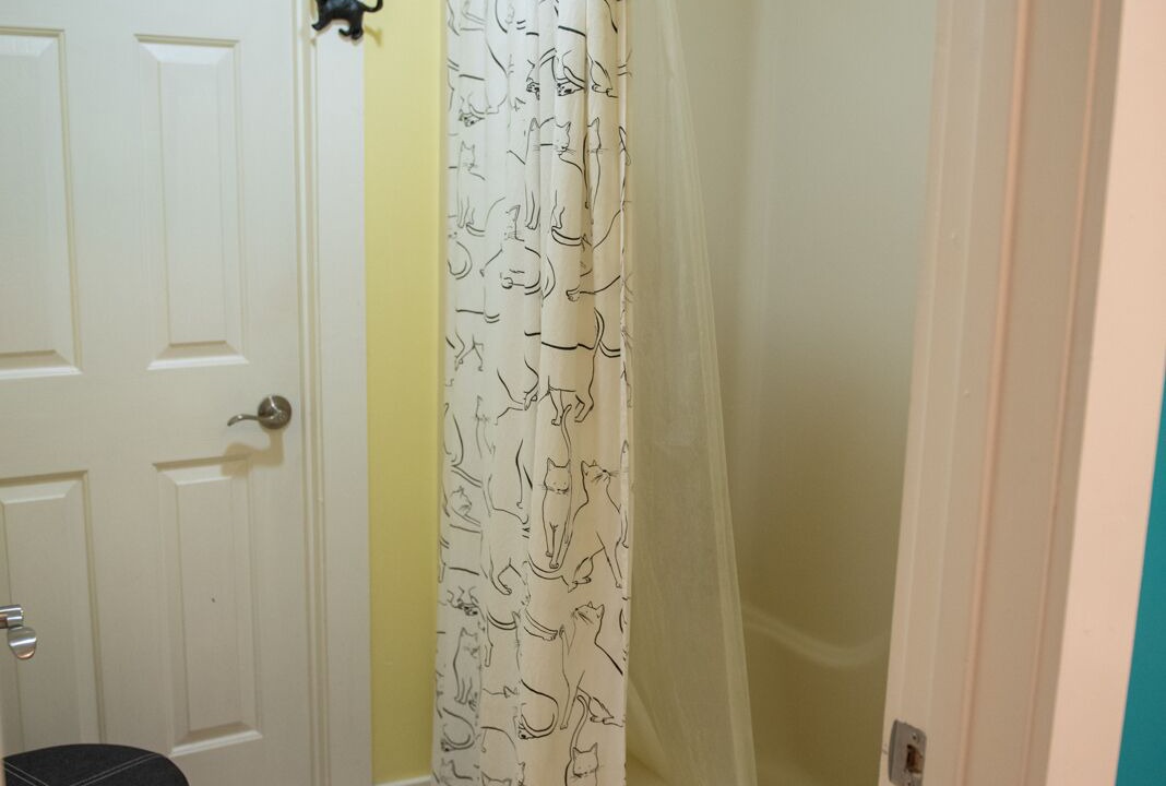 Photo of Bathroom in Vass