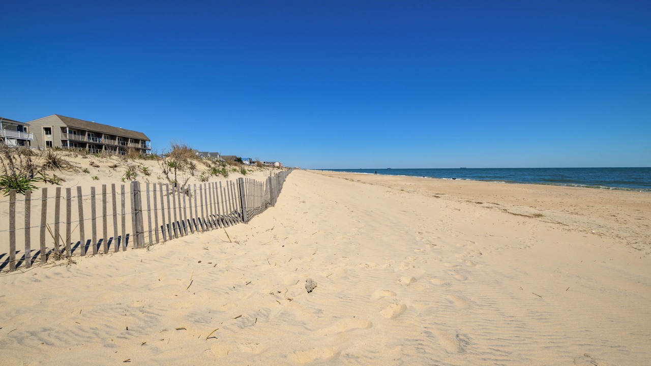 Photo of Others in Dewey Beach