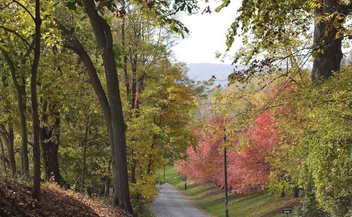Photo of Outdoor in Round Hill