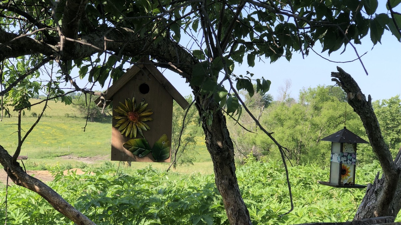 Photo of Outdoor in Warren County
