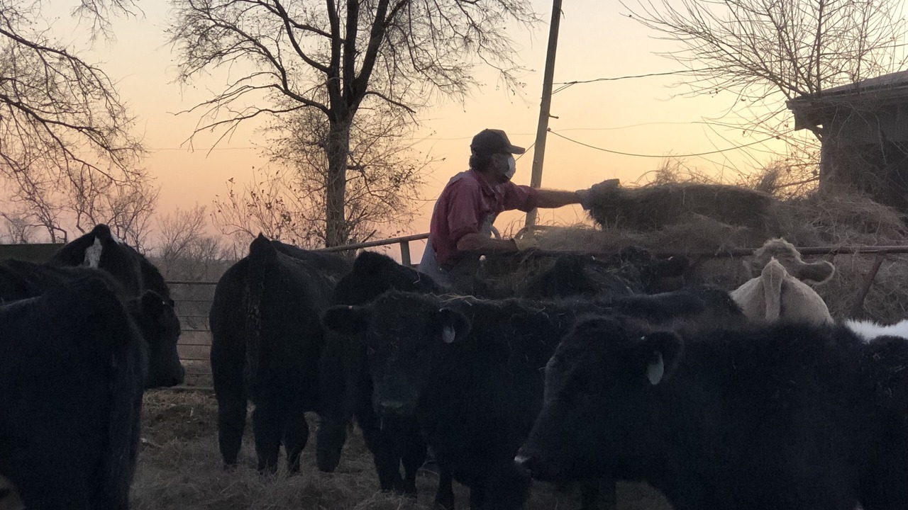 Photo of Others in Warren County