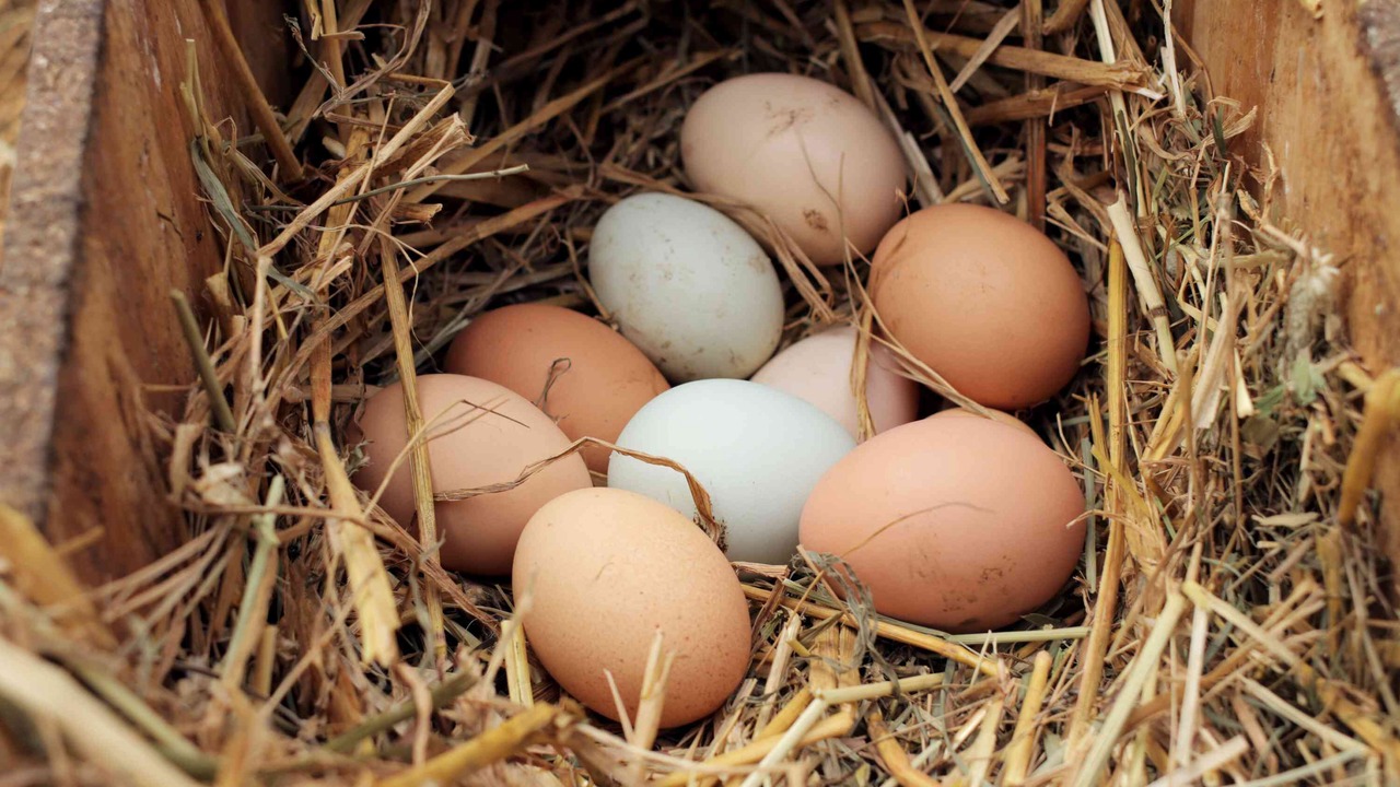 Photo of Others in Warren County
