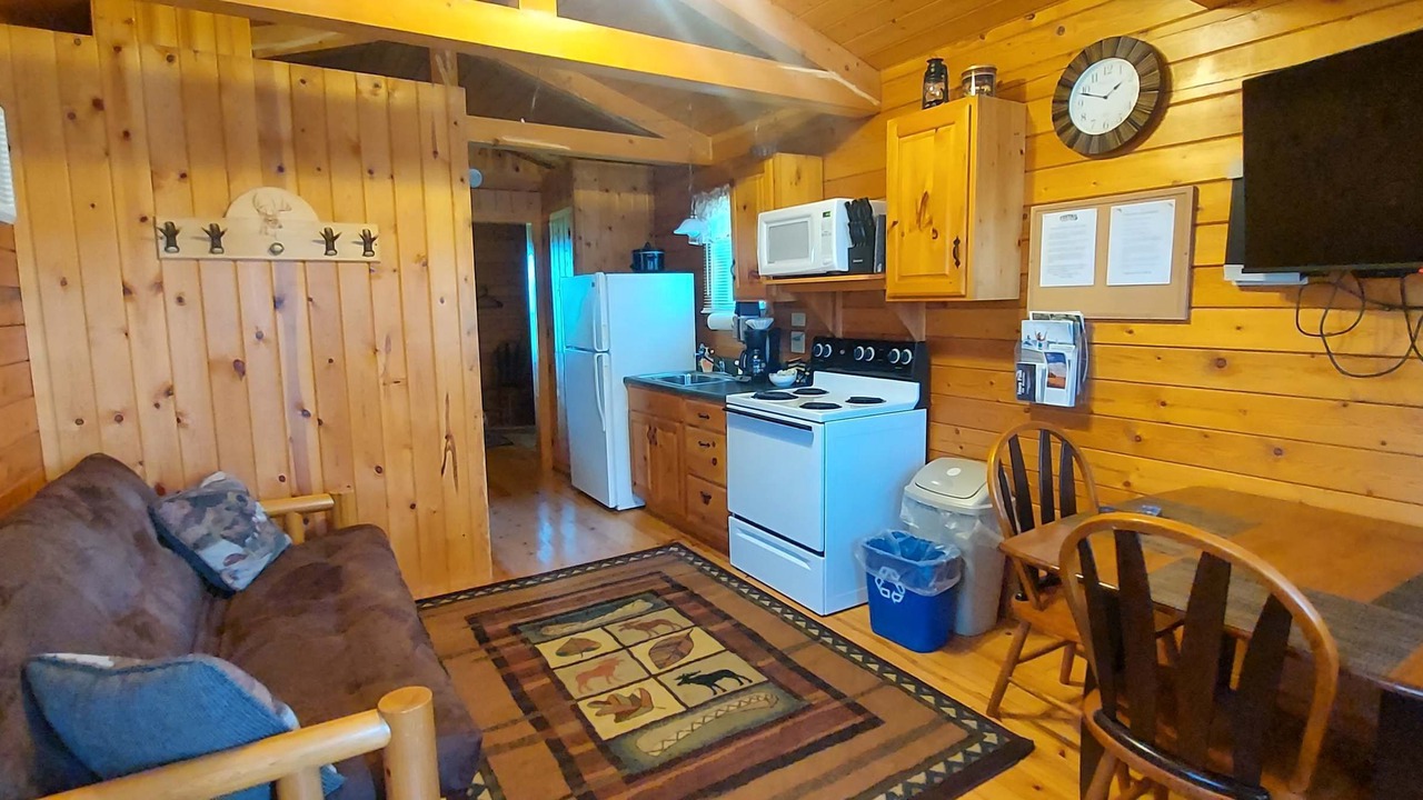 Photo of Livingroom in Moravia