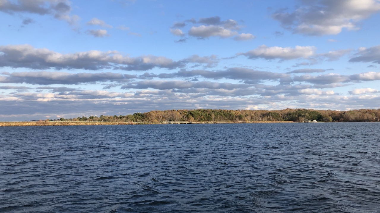 Photo of Others in Bumpass