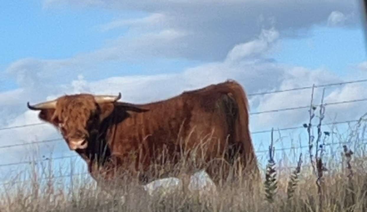 Photo of Others in Colfax